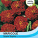 Thompson & Morgan (Uk) Ltd Gardening Marigold Scarlet Sophie (French)