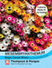 Thompson & Morgan (Uk) Ltd Gardening Mesembryanthemum Magic Carpet Mixed