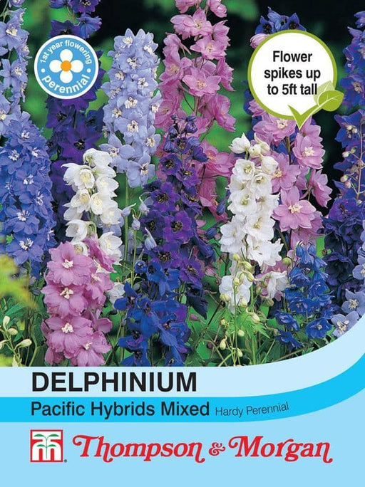 Thompson & Morgan (Uk) Ltd Gardening Delphinium Pacific Hybrids Mixed
