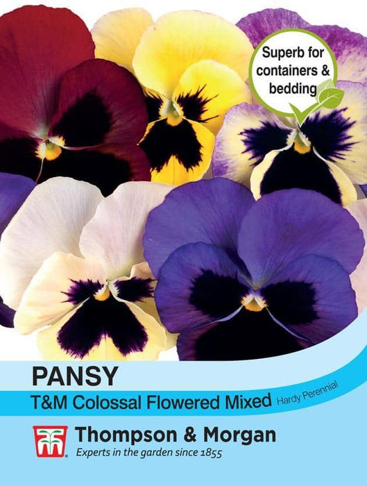 Thompson & Morgan (Uk) Ltd Gardening Pansy T&M Colossal Flowered Mixed