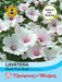 Thompson & Morgan (Uk) Ltd Gardening Lavatera Dwarf Pink Blush