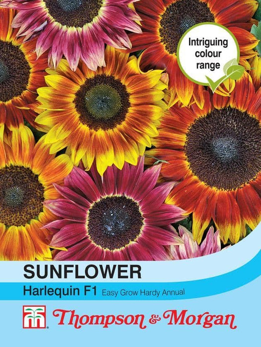 Thompson & Morgan (Uk) Ltd Gardening Sunflower Harlequin Mix F1 Hybrid
