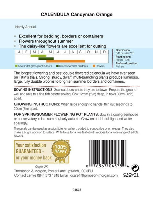 Thompson & Morgan (Uk) Ltd Gardening Thompson & Morgan Calendula Candyman Orange
