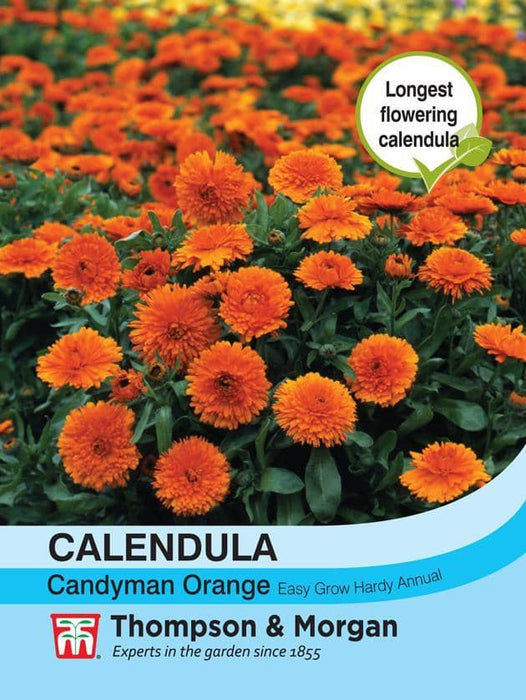 Thompson & Morgan (Uk) Ltd Gardening Calendula Candyman Orange