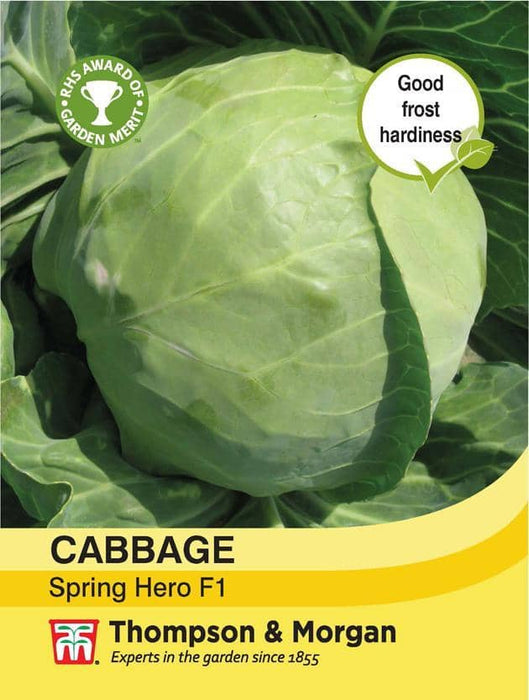 Thompson & Morgan (Uk) Ltd Gardening Cabbage Spring Hero