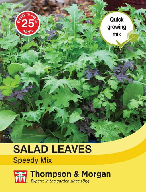 Thompson & Morgan (Uk) Ltd Gardening Salad Leaves - Speedy Mix