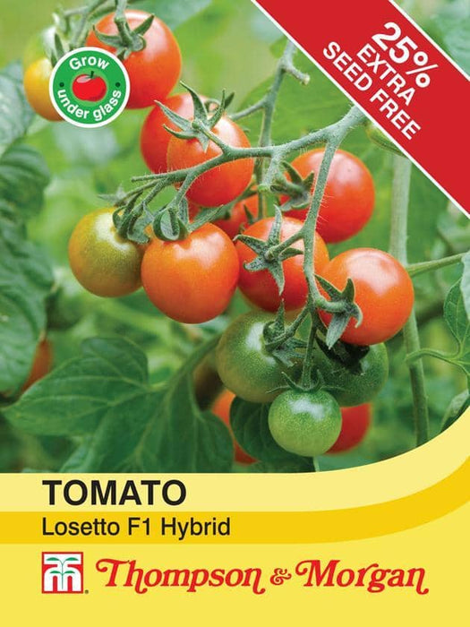 Thompson & Morgan (Uk) Ltd Gardening Tomato Losetto
