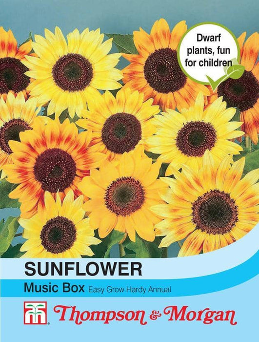 Thompson & Morgan (Uk) Ltd Gardening Sunflower Music Box