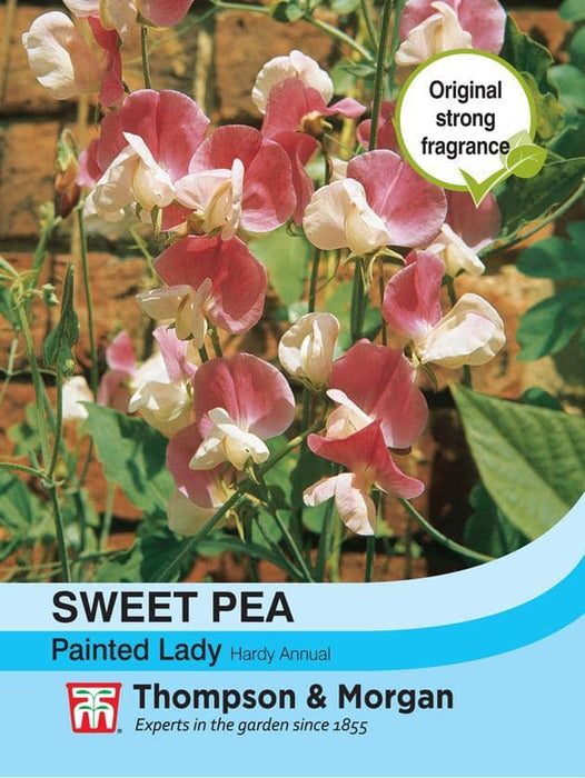 Thompson & Morgan (Uk) Ltd Gardening Sweet Pea Painted Lady