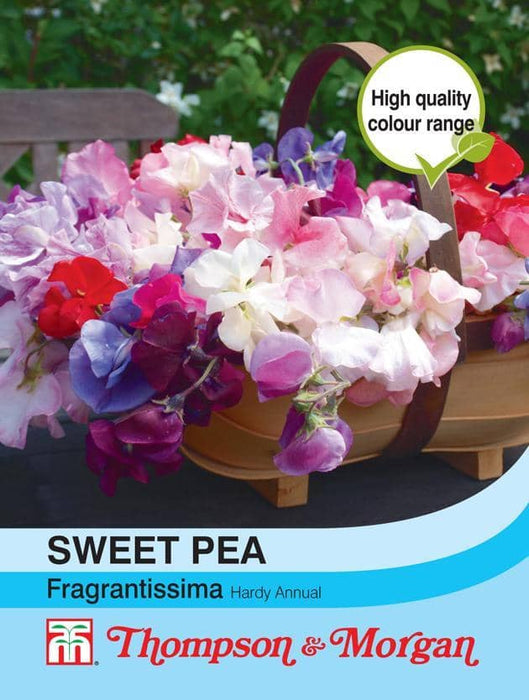 Thompson & Morgan (Uk) Ltd Gardening Sweet Pea Fragrantissima