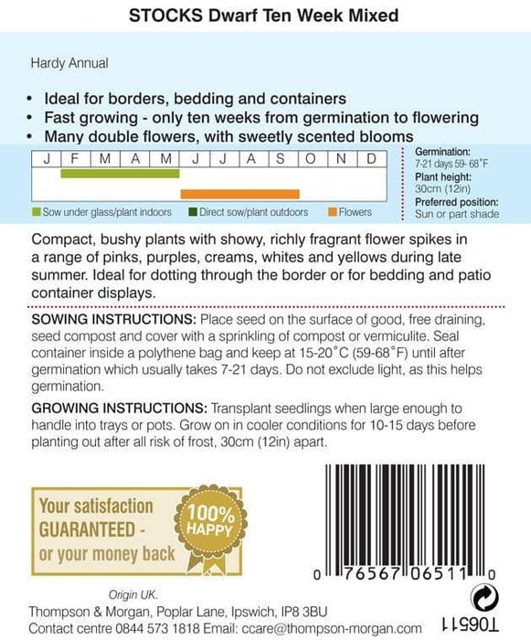 Thompson & Morgan (Uk) Ltd Gardening Thompson & Morgan Stock Dwarf Ten Week Mixed