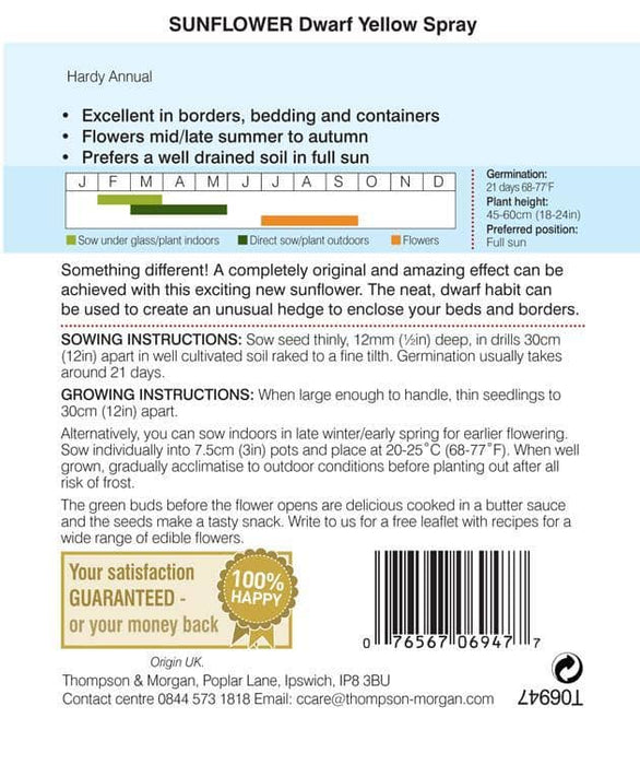 Thompson & Morgan (Uk) Ltd Gardening Thompson & Morgan Sunflower Dwarf Yellow Spray