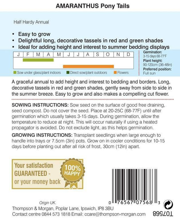 Thompson & Morgan (Uk) Ltd Gardening Thompson & Morgan Amaranthus Pony Tails