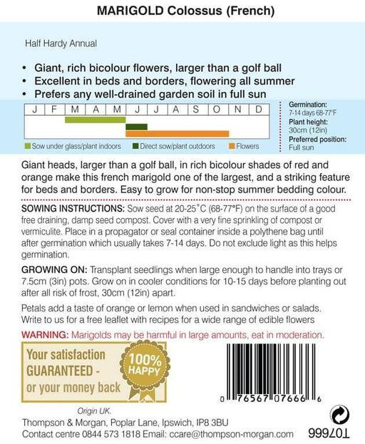 Thompson & Morgan (Uk) Ltd Gardening Thompson & Morgan Marigold Colossus