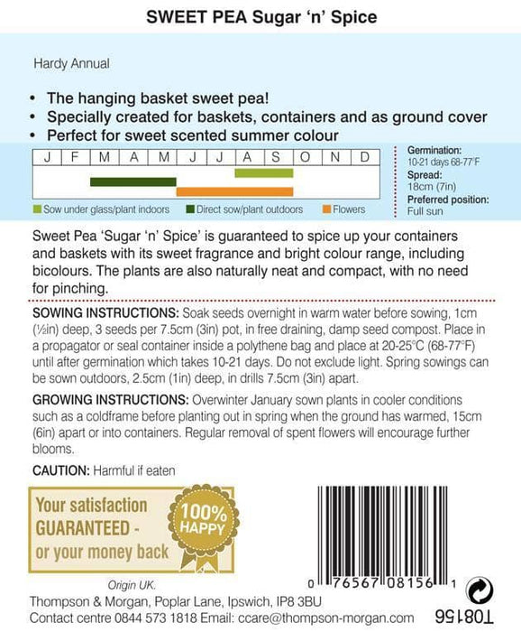 Thompson & Morgan (Uk) Ltd Gardening Thompson & Morgan Sweet Pea Sugar N Spice