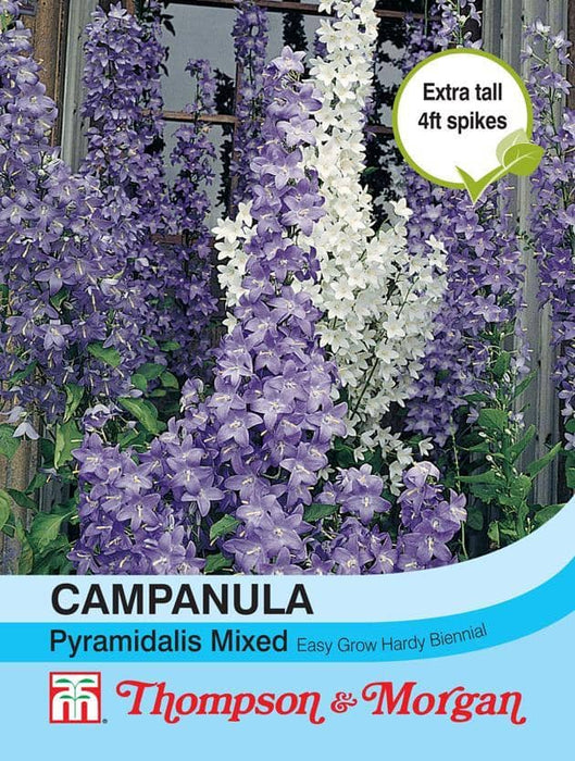 Thompson & Morgan (Uk) Ltd Gardening Campanula pyramidalis Mixed