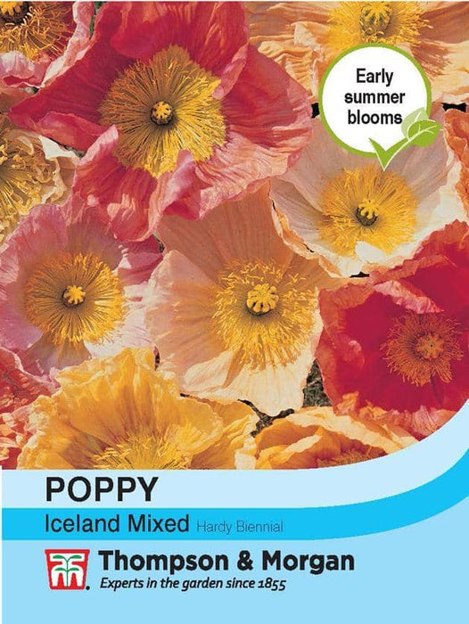 Thompson & Morgan (Uk) Ltd Gardening Poppy Iceland Mixed