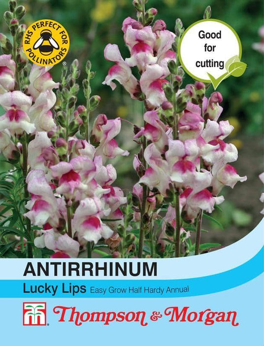 Thompson & Morgan (Uk) Ltd Gardening Antirrhinum Lucky Lips