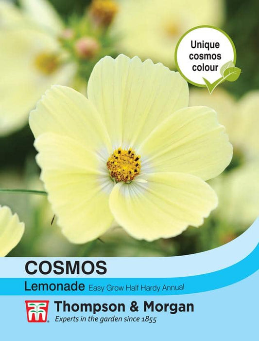 Thompson & Morgan (Uk) Ltd Gardening Cosmos Lemonade