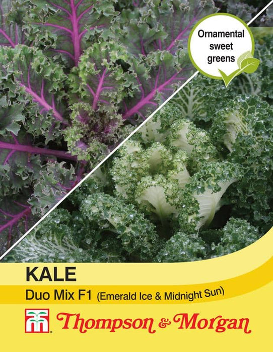 Thompson & Morgan (Uk) Ltd Gardening Kale Duo Mix (Emerald Ice &  Midnight Sun)