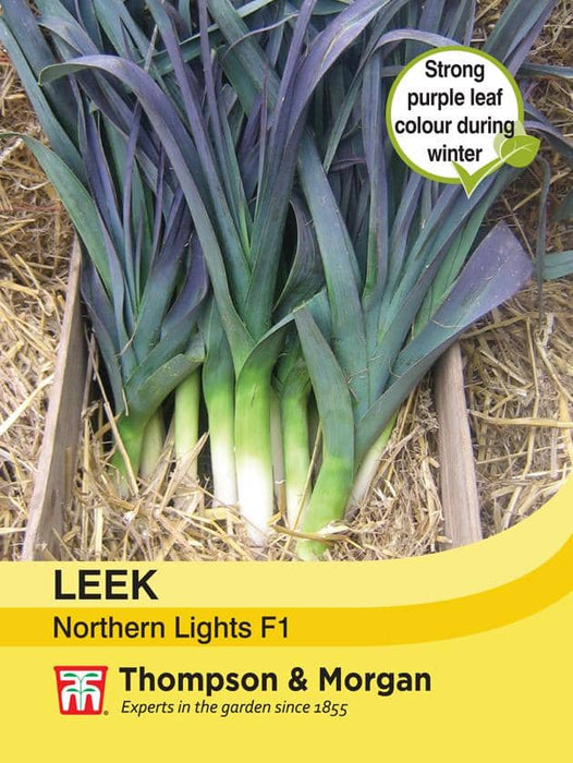 Thompson & Morgan (Uk) Ltd Gardening Leek Northern Lights F1 Hybrid