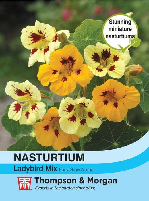 Thompson & Morgan (Uk) Ltd Gardening Tropaeolum ( Nasturtium ) minus Ladybird Mix