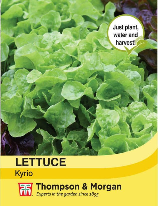 Thompson & Morgan (Uk) Ltd Gardening Lettuce Kyrio