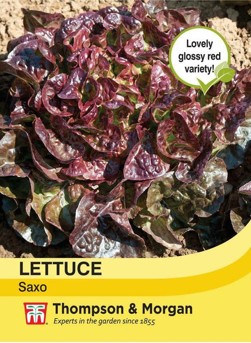 Thompson & Morgan (Uk) Ltd Gardening Lettuce Saxo