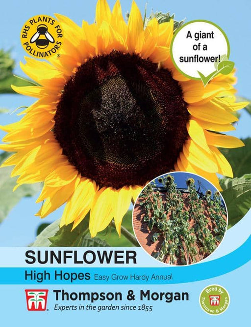 Thompson & Morgan (Uk) Ltd Gardening Sunflower High Hopes