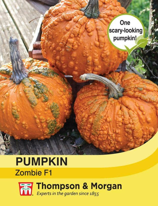 Thompson & Morgan (Uk) Ltd Gardening Pumpkin Zombie F1 Hybrid