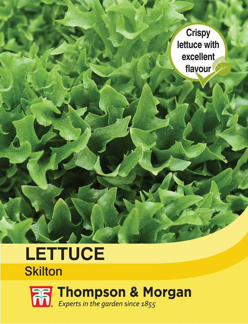 Thompson & Morgan (Uk) Ltd Gardening Lettuce Skilton