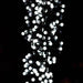 Kaemingk Lumineo Christmas lighting Kaemingk Lumineo LED Cool White / Black Cable, Cherry Twinkle (500 Lights)