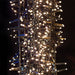Kaemingk Lumineo Christmas lighting Lumineo LED Twinkle Compact Lights - Warm White (1000 lights)