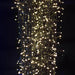 Kaemingk Lumineo Christmas lighting Lumineo LED Twinkle Compact Lights - Warm White / Green Cable (1500 lights)