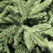 Kaemingk Artificial Christmas Trees Kaemingk Everland Fairbanks Pine Tree 8ft (240cm)