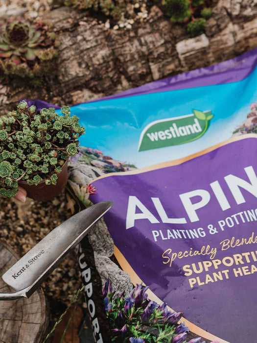 Westland Horticulture Garden Care Westland Alpine Planting & Potting Mix 25L