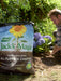 Westland Horticulture Garden Care Westland Jacks Magic All Purpose Compost 60L
